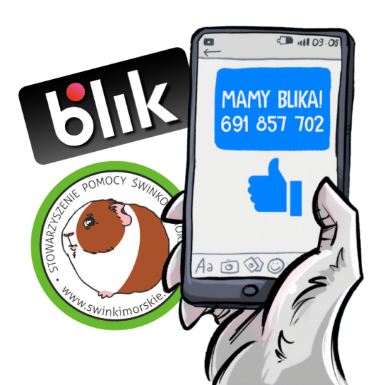 Wspieraj BLIKiem – od dziś!