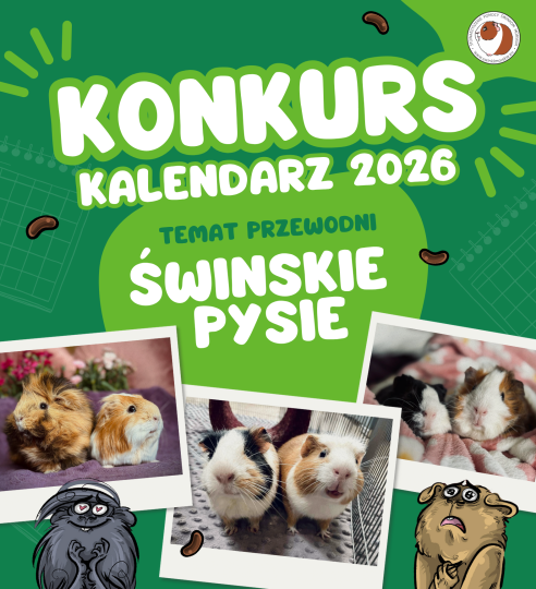 Konkurs kalendarzowy 2026 – weź udział!
