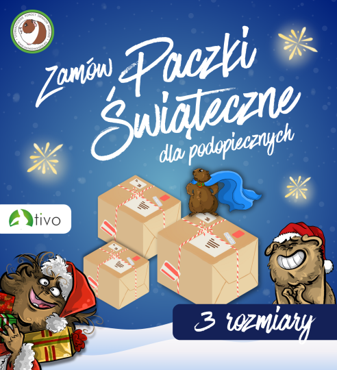 Paczki świąteczne dla podopiecznych SPŚM Paczki świąteczne dla podopiecznych SPŚM
