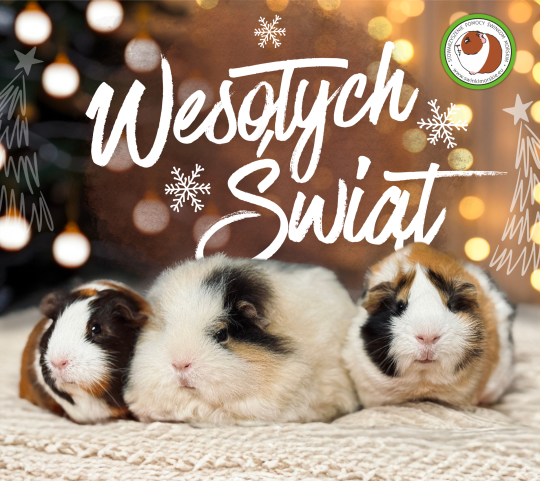 Wesołych Świąt!