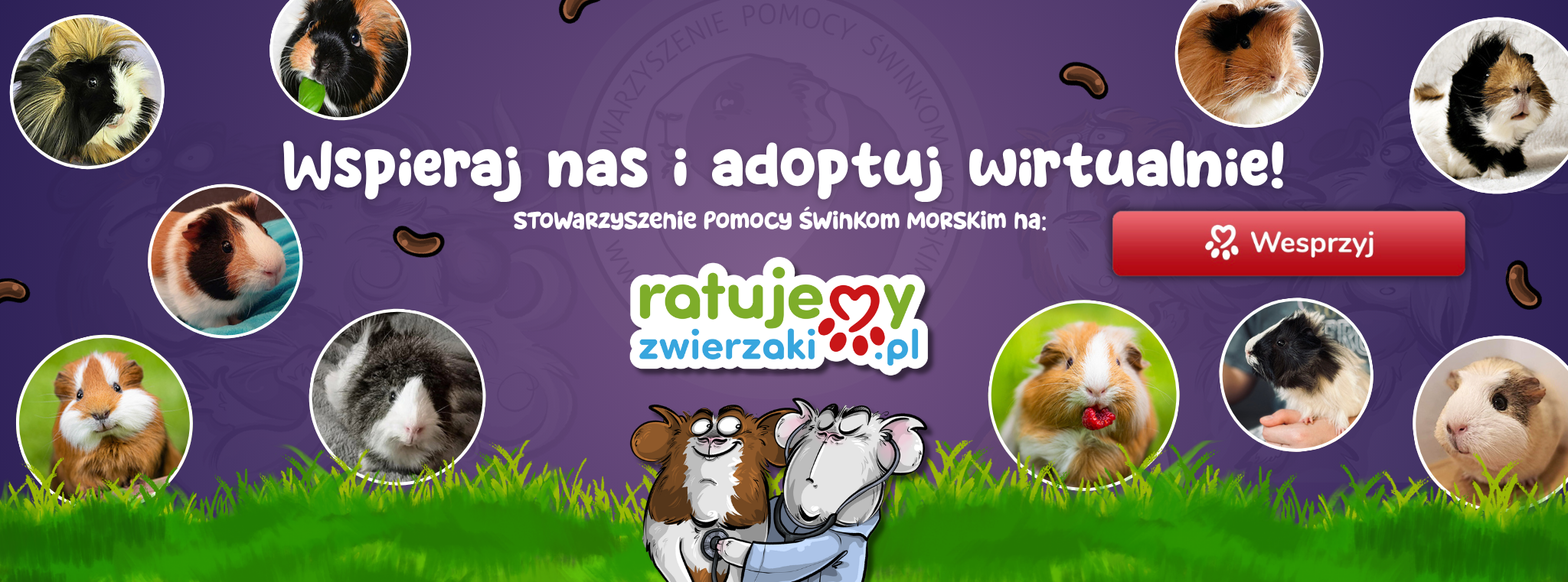 BANER ratujemy